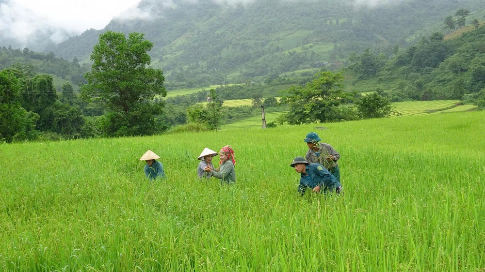 "Người có uy tín" của thôn, bản hướng dẫn người dân chăm sóc, canh tác nông nghiệp. Ảnh: Sở DT&amp;TG