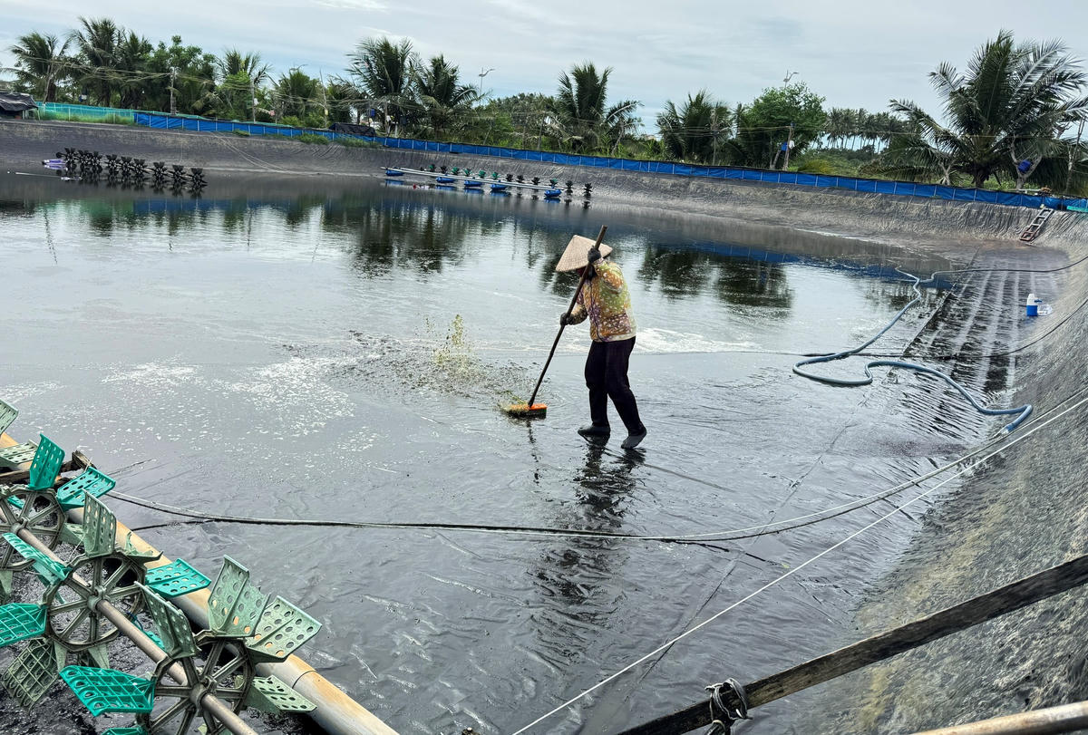 Người dân xã An Phú dọn vệ sinh hồ nuôi tôm. Ảnh: CV.