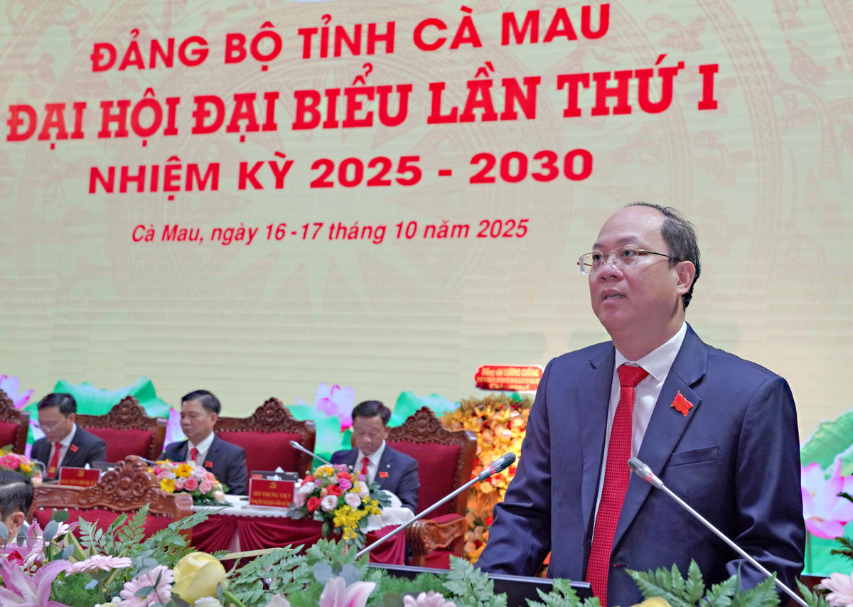 Bí thư Tỉnh ủy Cà Mau Nguyễn Hồ Hải phát biểu tại phiên trù bị. Ảnh: BTC