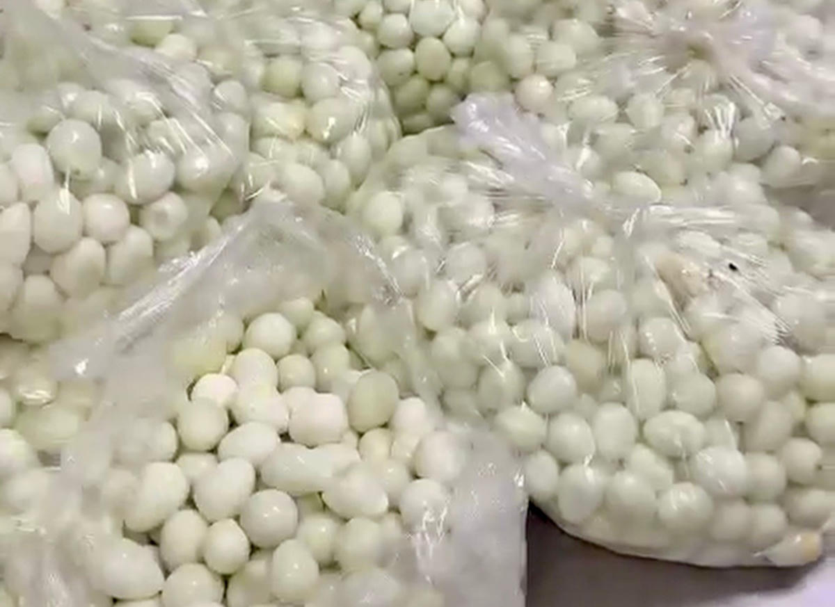 Trứng cút đựng trong túi ni lông có mùi ôi đưa đến Trường tiểu học Cự Khê được phụ huynh phát hiện.