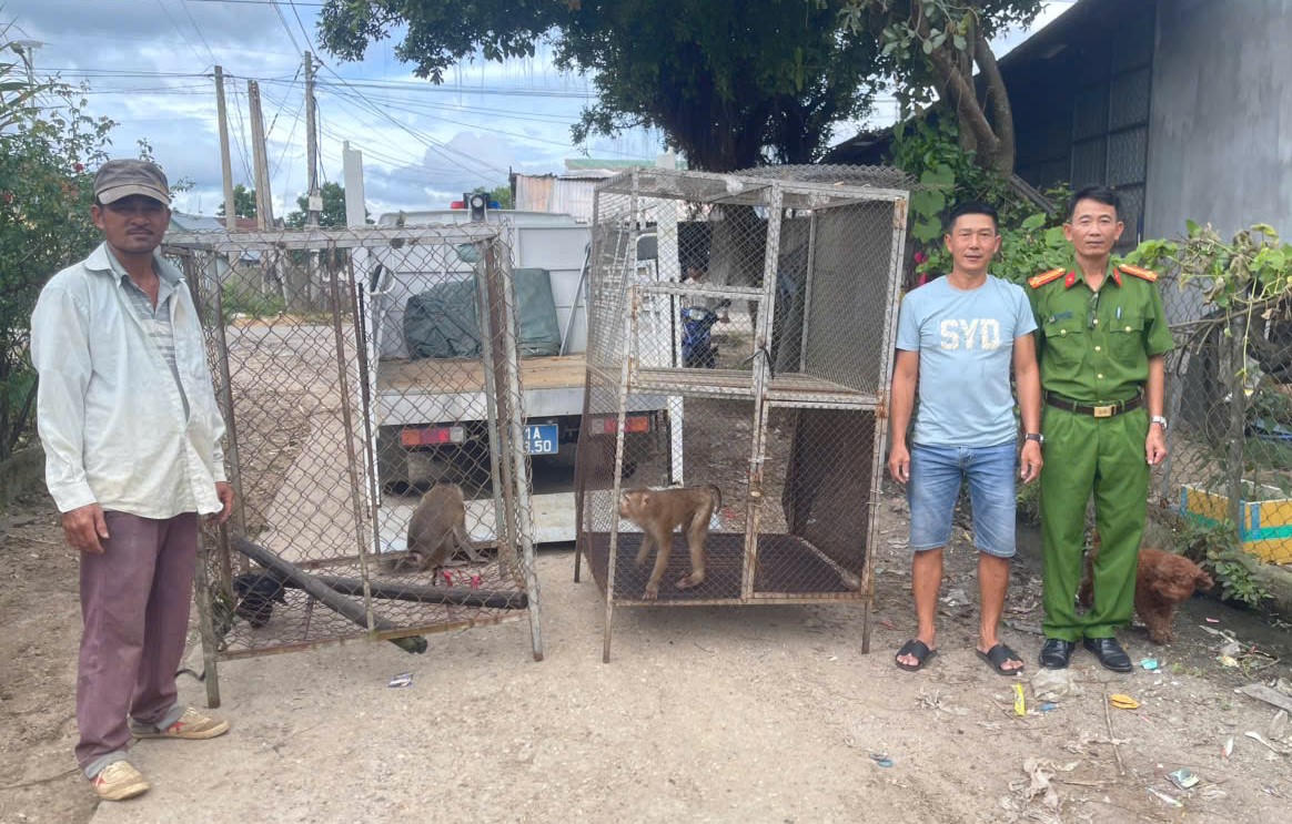Người dân giao nộp 2 cá thể khí cho lực lượng chức năng. Ảnh: CV.