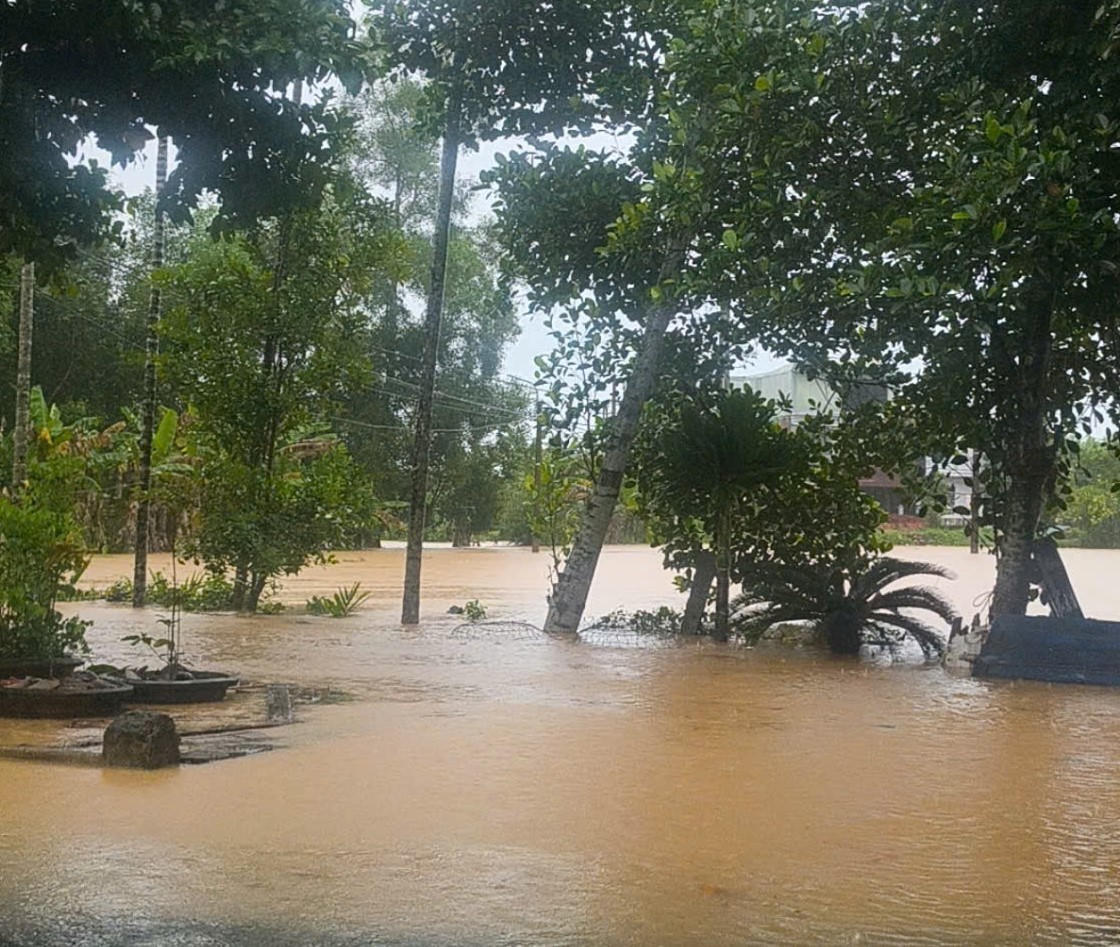 Một số khu vực vùng trũng thấp ở TP Đà Nẵng bị ngập nước. Ảnh: CV.