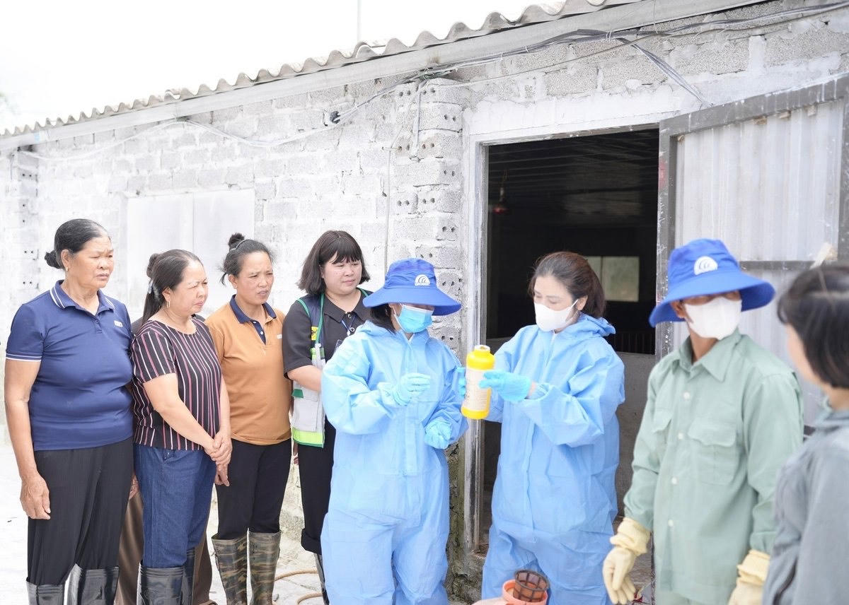 Hướng dẫn nông dân kỹ thuật xử lý chuồng trại sau ngập. Ảnh: P.M.