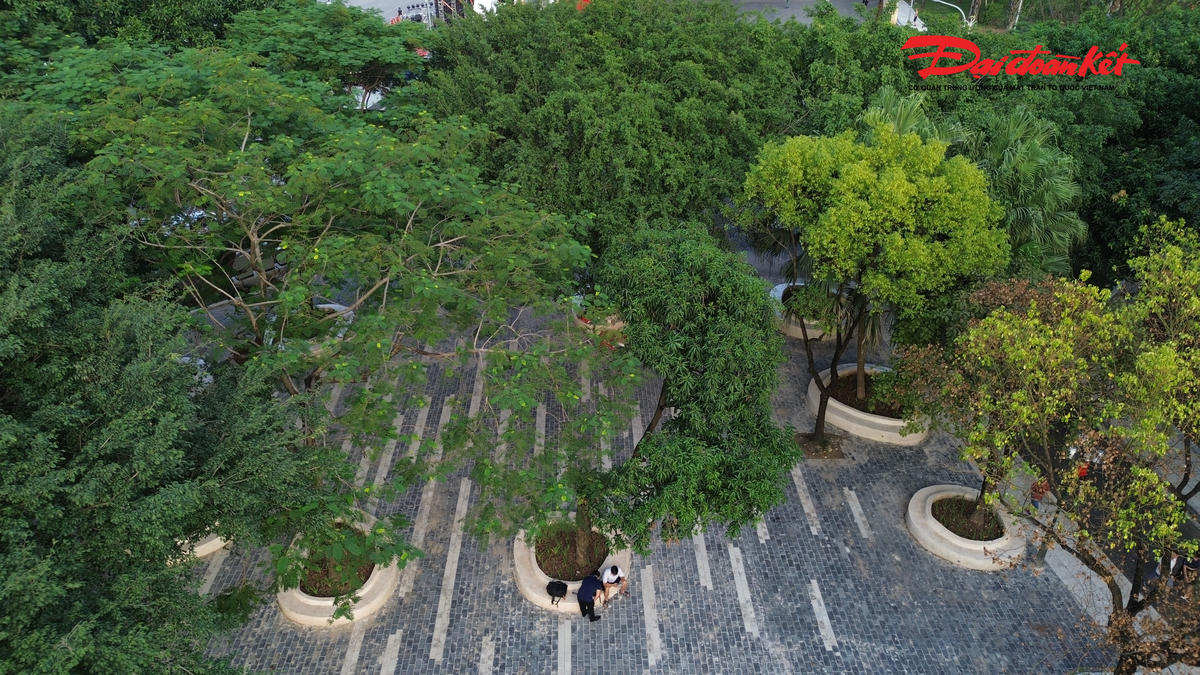 Nhiều cây xanh được trồng tại công viên.