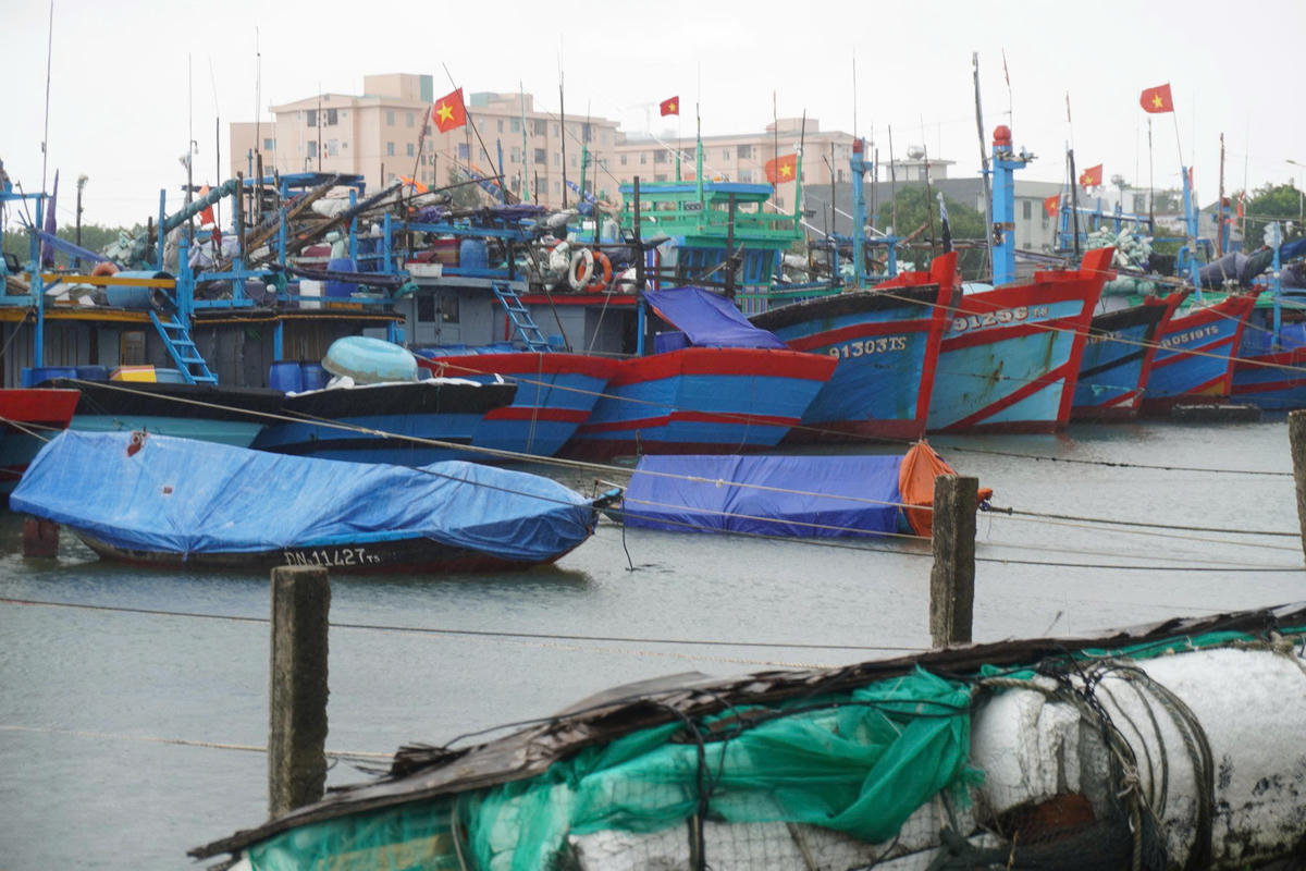 Tàu thuyền Đà Nẵng neo đậu tại bến cảng trú bão số 12. Ảnh: CV.
