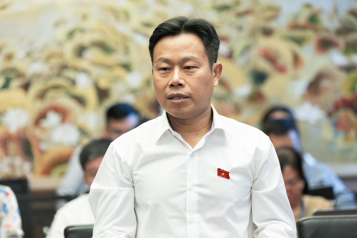 Ông Lê Quân phát biểu tại phiên họp (Ảnh: Quang Vinh)