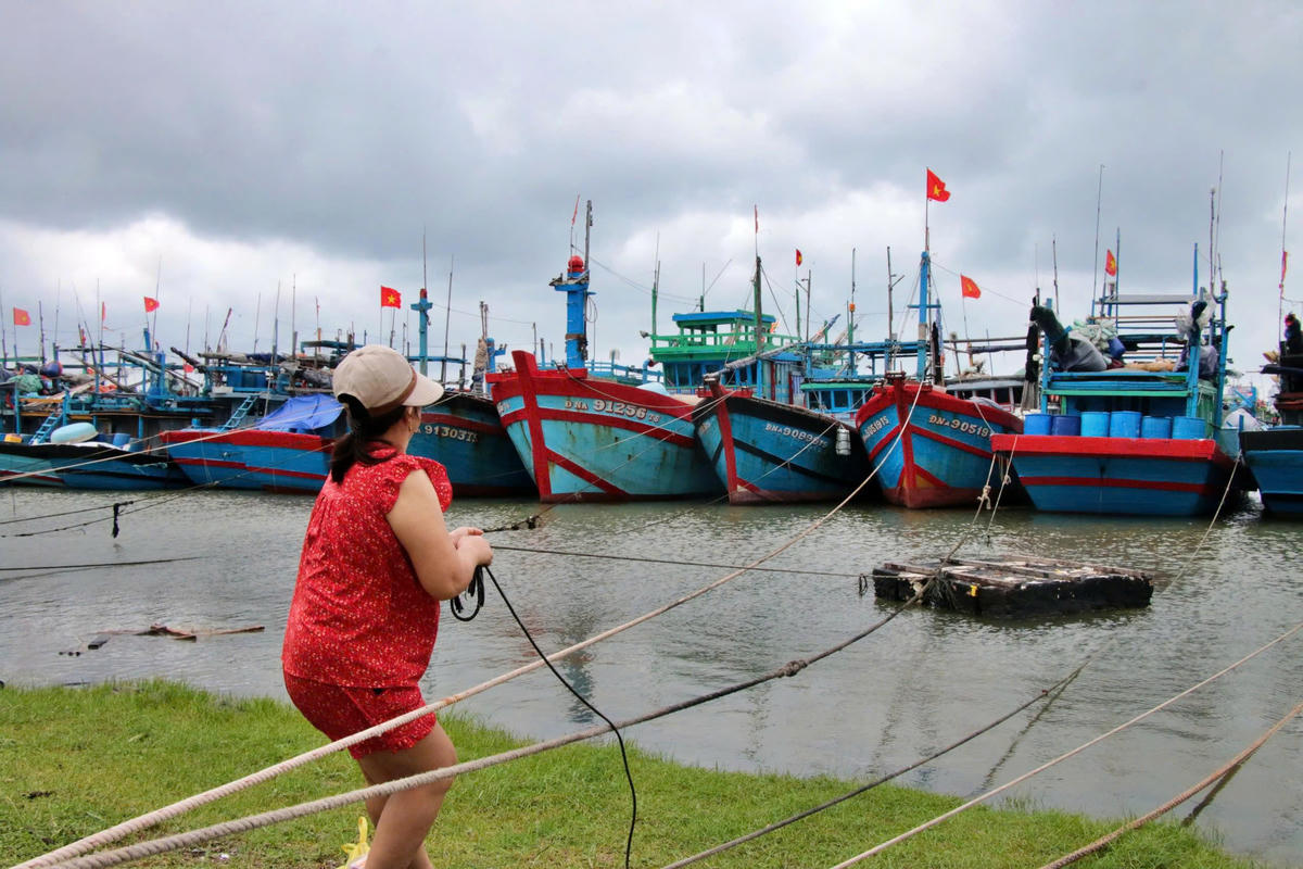 Người dân chằng dây tàu thuyền
ở cảng cá Thọ Quang, TP Đà Nẵng.