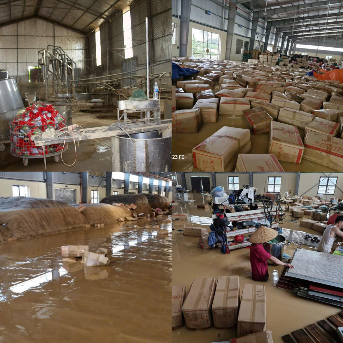 Xưởng miến của Hợp tác xã Việt Cường ngập hoàn toàn trong nước lũ