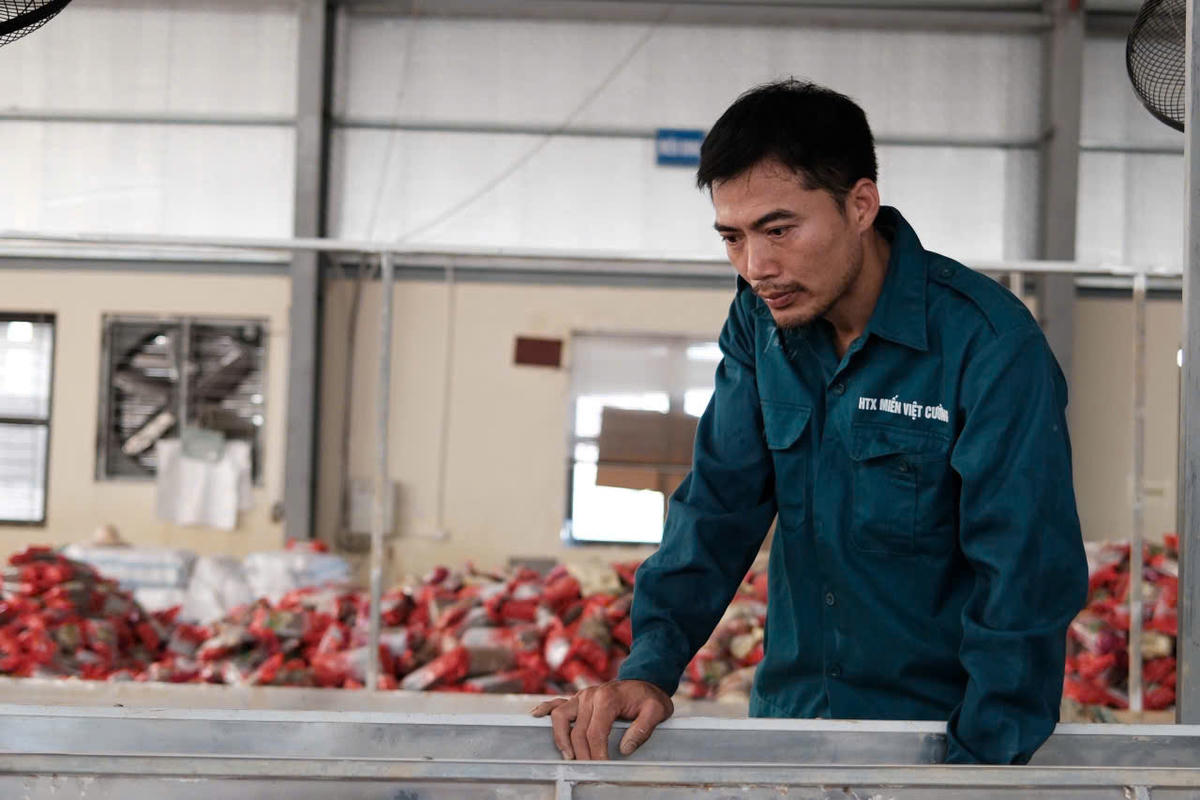 Anh Nguyễn Văn Ba, Giám đốc Hợp tác xã Việt Cường vẫn còn bần thần về những gì đang xảy ra