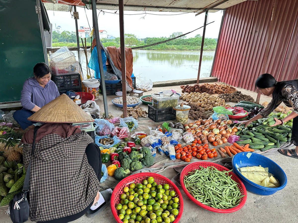  Giá rau xanh thiết lập bằng giá mới