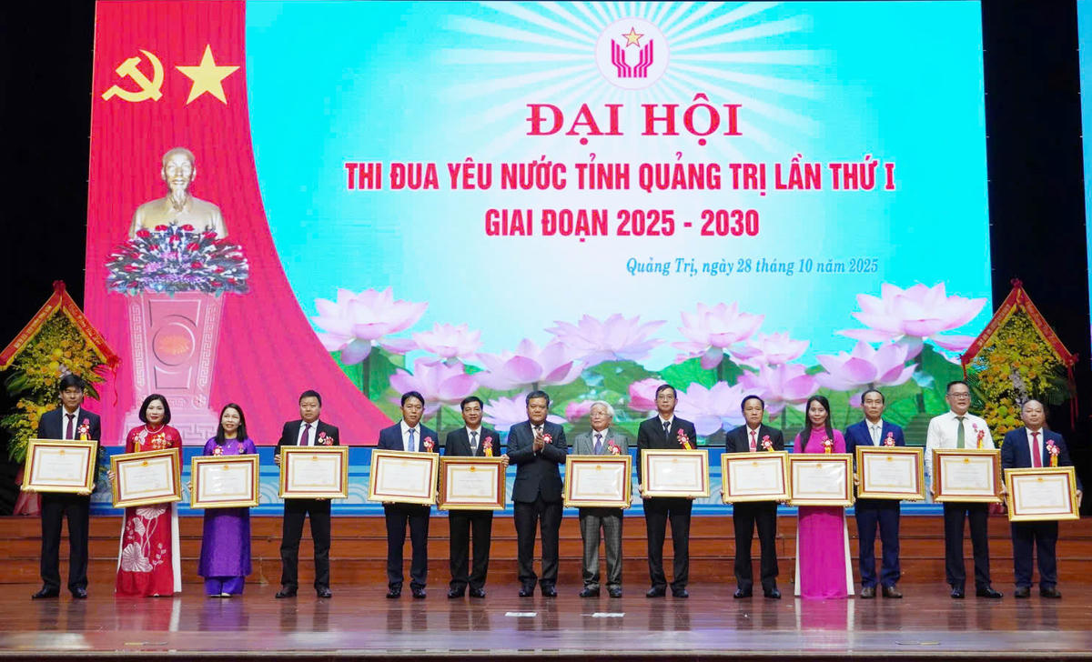 Thừa ủy quyền của Chủ tịch nước, ông Trần Phong, Chủ tịch UBND tỉnh trao Huân chương Lao động hạng Ba cho các tập thể, cá nhân.  Ảnh: X.T.