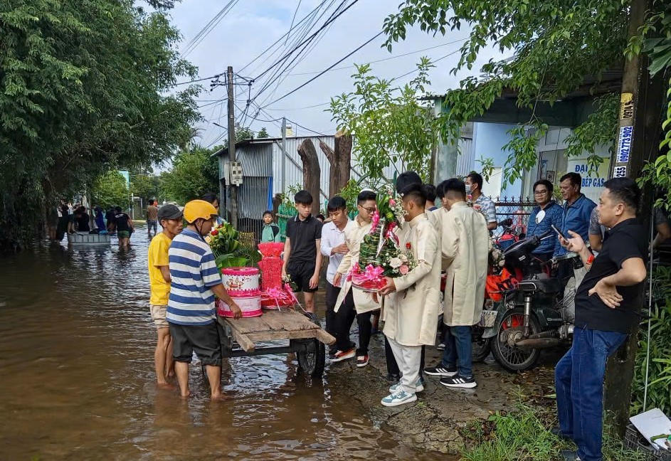 Dùng xe bò chở sính lễ và đại diện nhà trai vượt qua vùng ngập sâu. Ảnh: CV.