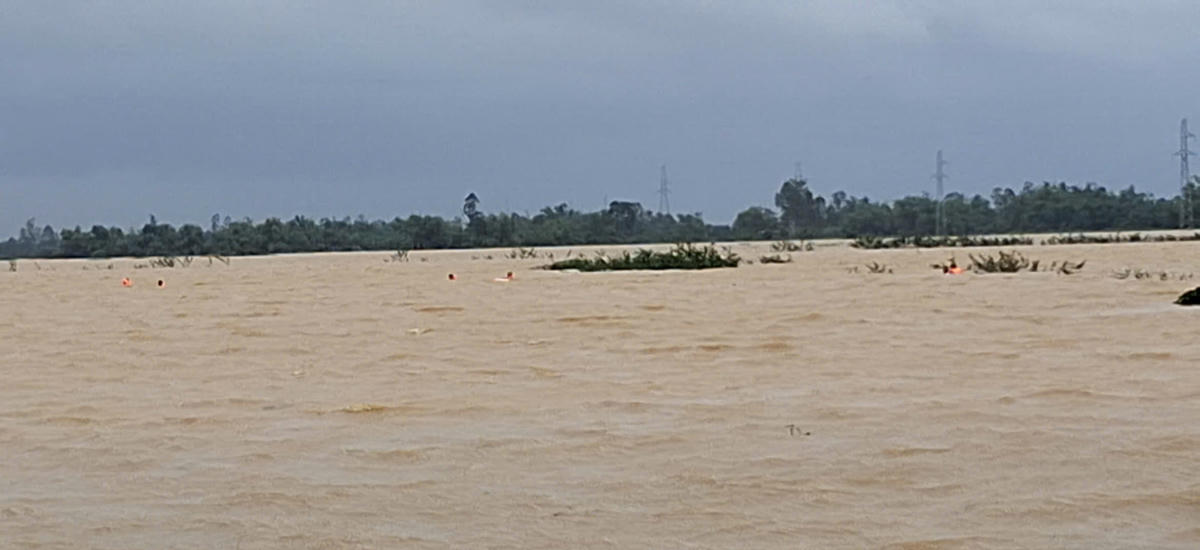 Khu vực nơi ông C. mất tích. Ảnh: CV.