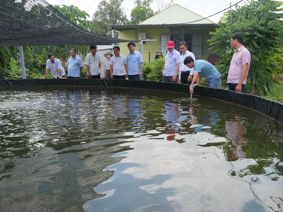 Anh Nông Văn Thạch (áo thun) chia sẻ về quy trình ương dưỡng tôm sú của HTX Ba Đình cho đoàn công tác Sở Nông nghiệp và Môi trường. Ảnh: Nguyên Du.