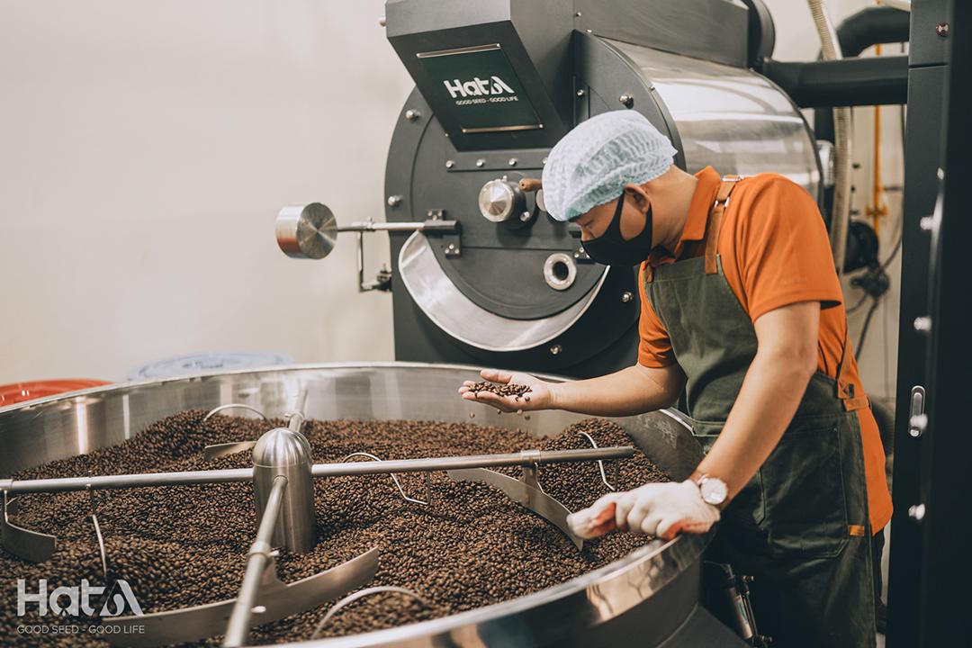 Quy trình sản xuất ra hạt cà phê nguyên vị