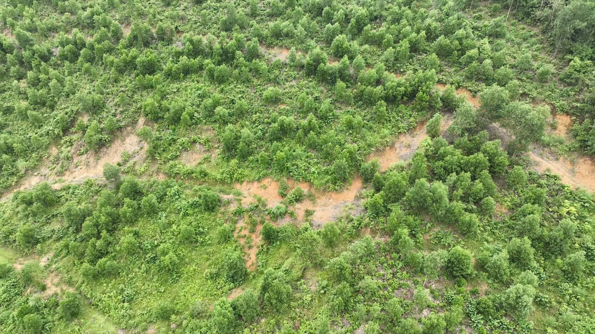 Quảng Trị: Công bố tình huống khẩn cấp về sạt lở tại 2 vị trí