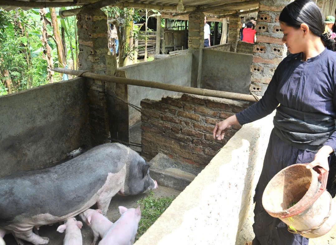 Giảm nghèo truyền thông sẽ tạo ra sinh kế cho giảm nghèo bền vững.