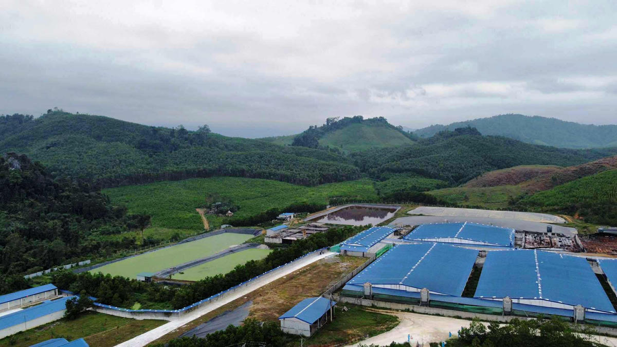 Trang trại của Công ty Cổ phần Đầu tư Quốc tế Asean. Ảnh: Nguyễn Chung.. 