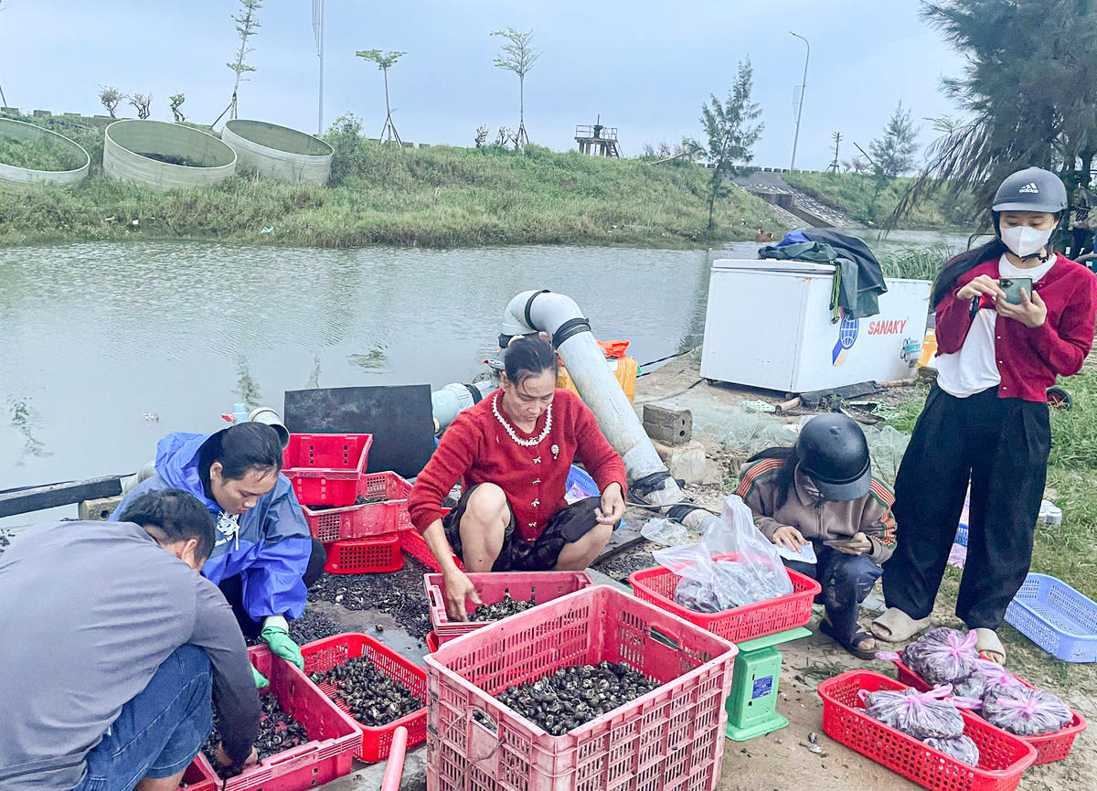Mưa lớn kéo dài khiến nhiều hộ nuôi trồng thuỷ sản bị ảnh hưởng nặng. 