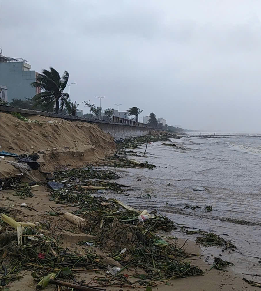 Sóng biển xâm thực sâu, sát đường Nguyễn Tất Thành, mang theo lượng rác lớn. Ảnh: Nguyễn Tú.