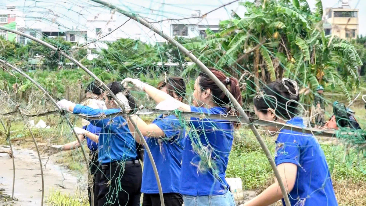 Đoàn viên thanh niên tham gia hoạt động. Ảnh: Lan Chi.