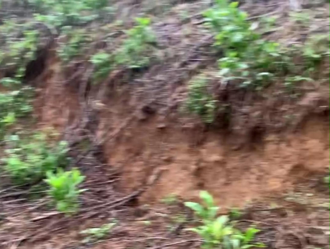 Một vết nứt lớn xuất hiện trên đỉnh đồi thuộc thôn K Long. Ảnh: BCH.