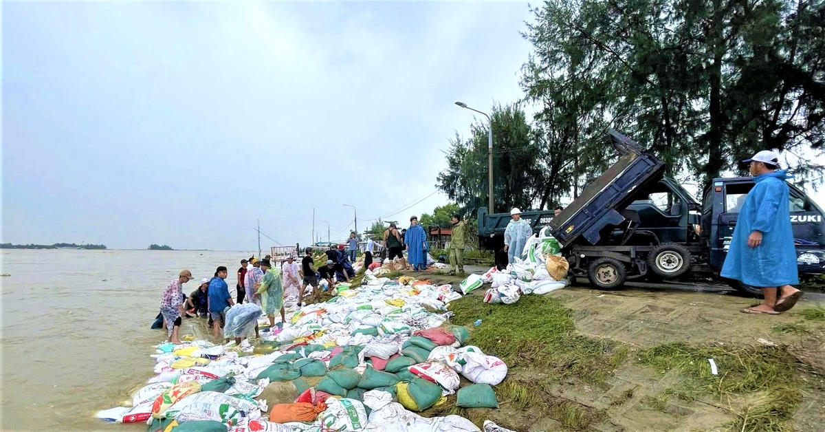 Nhiều bao cát được gia cố tại bờ kè An Lương, thôn Thuận An, xã Duy Nghĩa. Ảnh: Tấn Thành.