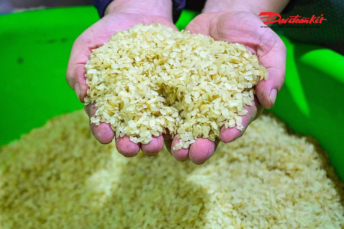 Một mẻ lúa sữa non khoảng 10kg sẽ tạo thành khoảng 2kg cốm.