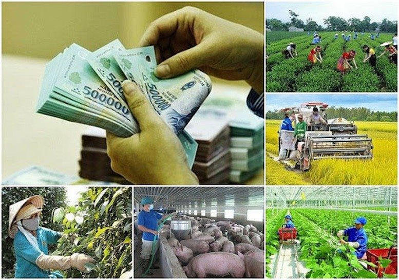 Công tác kiểm toán các chương trình MTQG luôn được Kiểm toán nhà nước chú trọng. Ảnh: ST