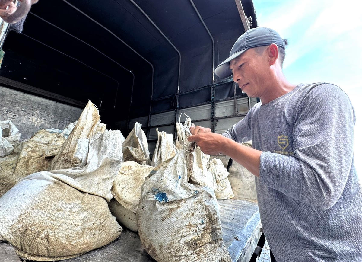 Ông Đỗ Xuân Hiền đang đưa bao cát lên xe tải chờ về nhà chằng chống phòng chống bão số 13. Ảnh: Tấn Thành.