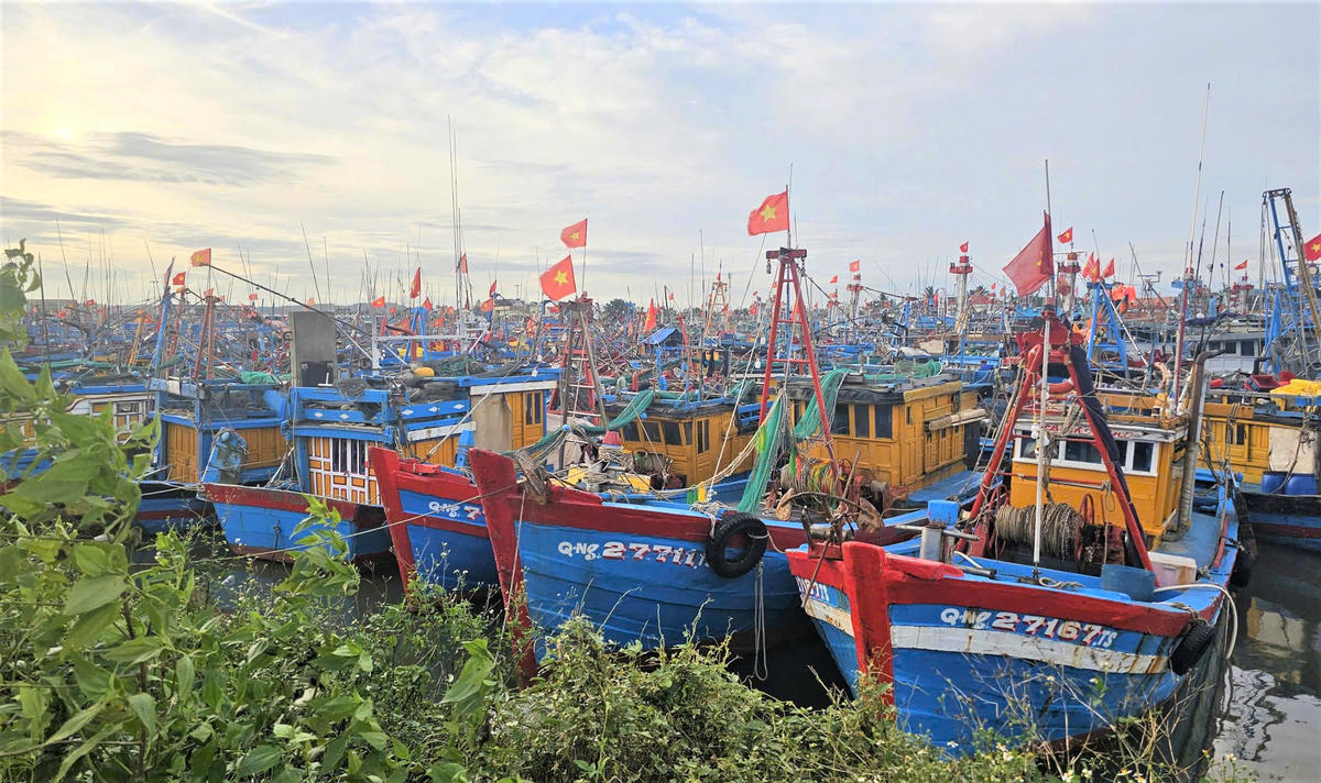 Nhiều tàu thuyền Quảng Ngãi vào neo đậu tại cảng Sơn Tịnh. Ảnh: CV.