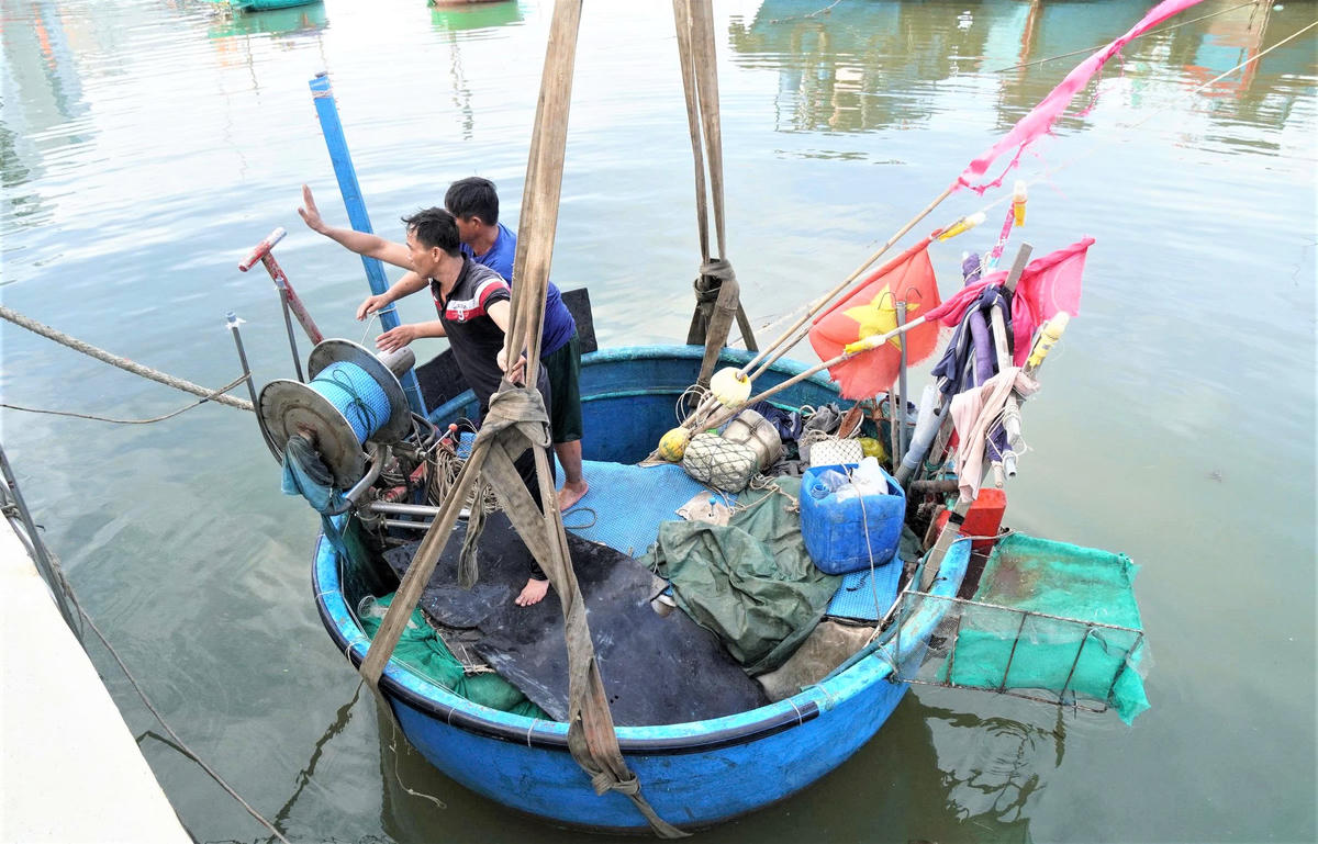 Ngư dân phường Quy Nhơn di chuyển ghe lên bờ. Ảnh: C.Đại.