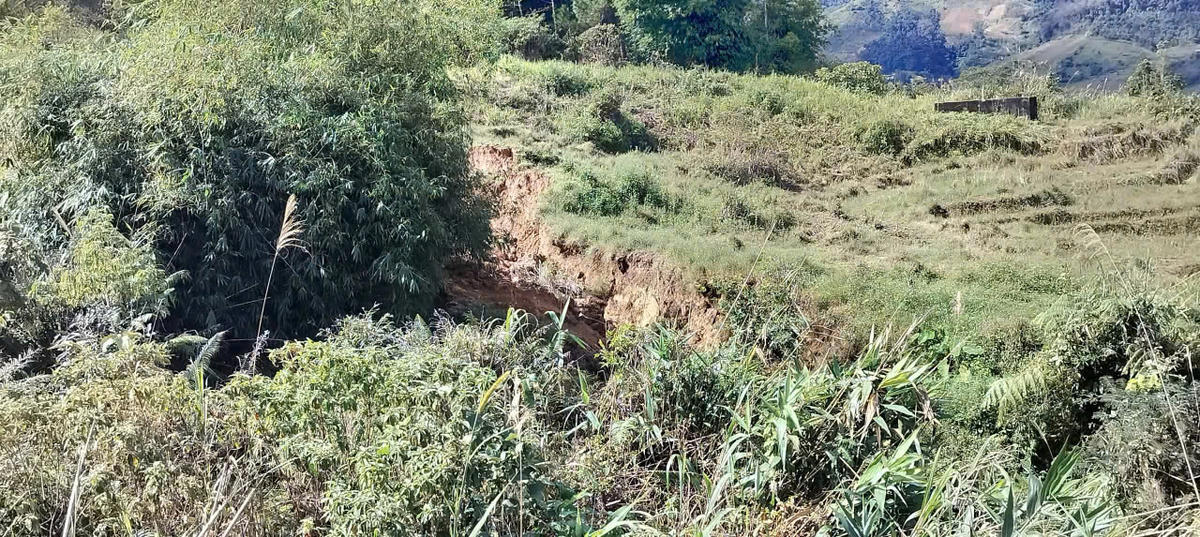 Quả đồi ở thôn Đăk Sun, xã Ngọc Linh có nhiều vết nứt kéo dài hàng trăm mét. Ảnh: CV.