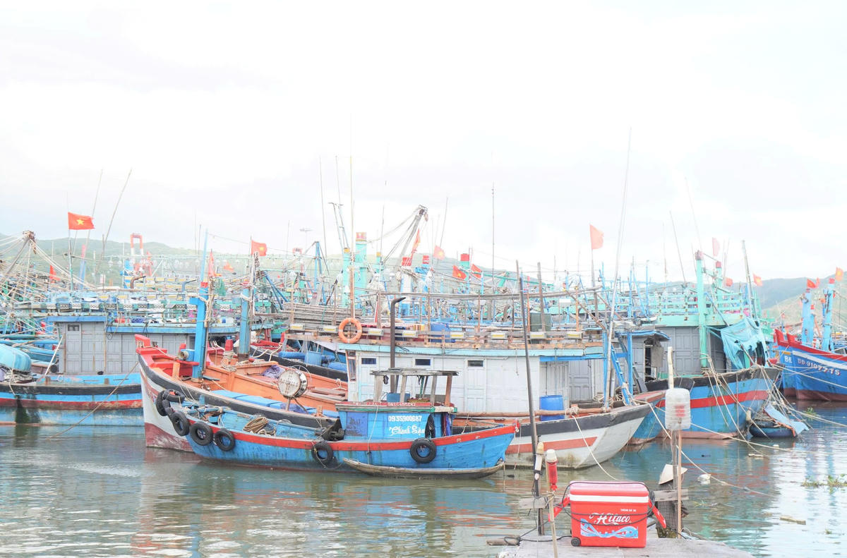 Nhiều tàu thuyền của tỉnh Gia Lai đã vào khu neo đậu trú tránh bão số 13 an toàn. Ảnh: Đ.Sang.