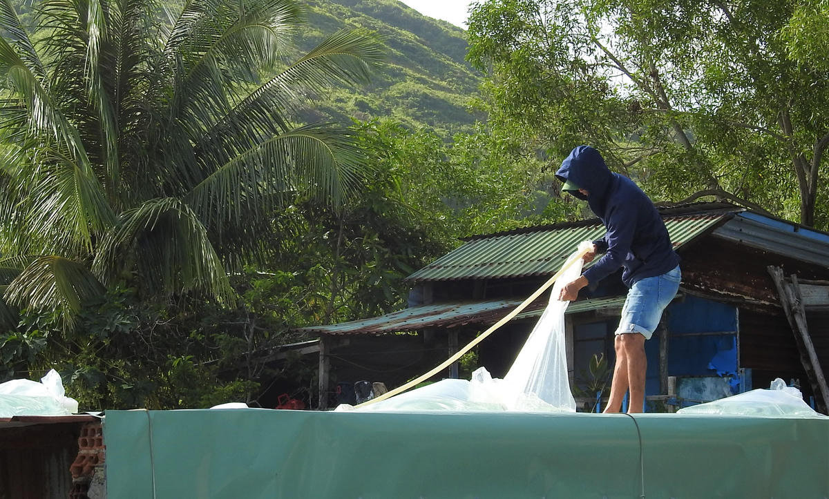Người dân sử dụng túi bong chứa nước chằng chống nhà cửa. Ảnh: CV.