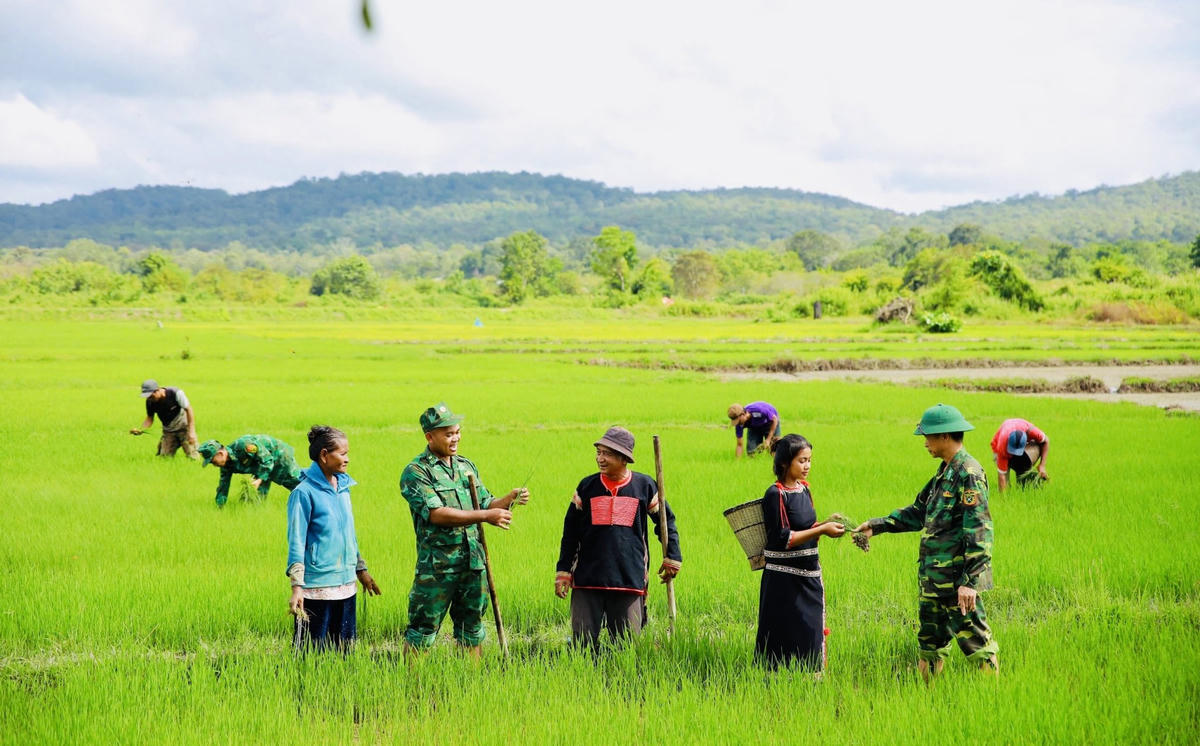 Bộ đội Biên phòng Đồn Sê Rê Pốk giúp dân sản xuất. Ảnh: NL.
