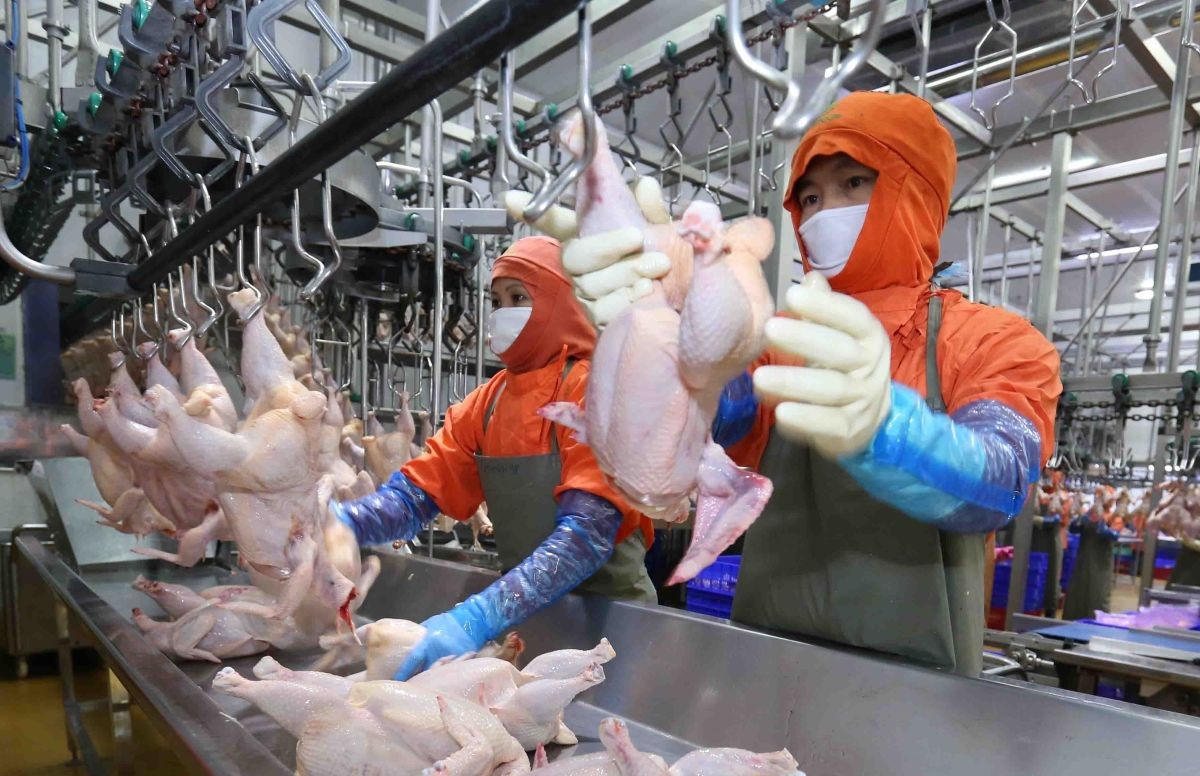 Đảm bảo nguồn cung nông sản dịp Tết 2026