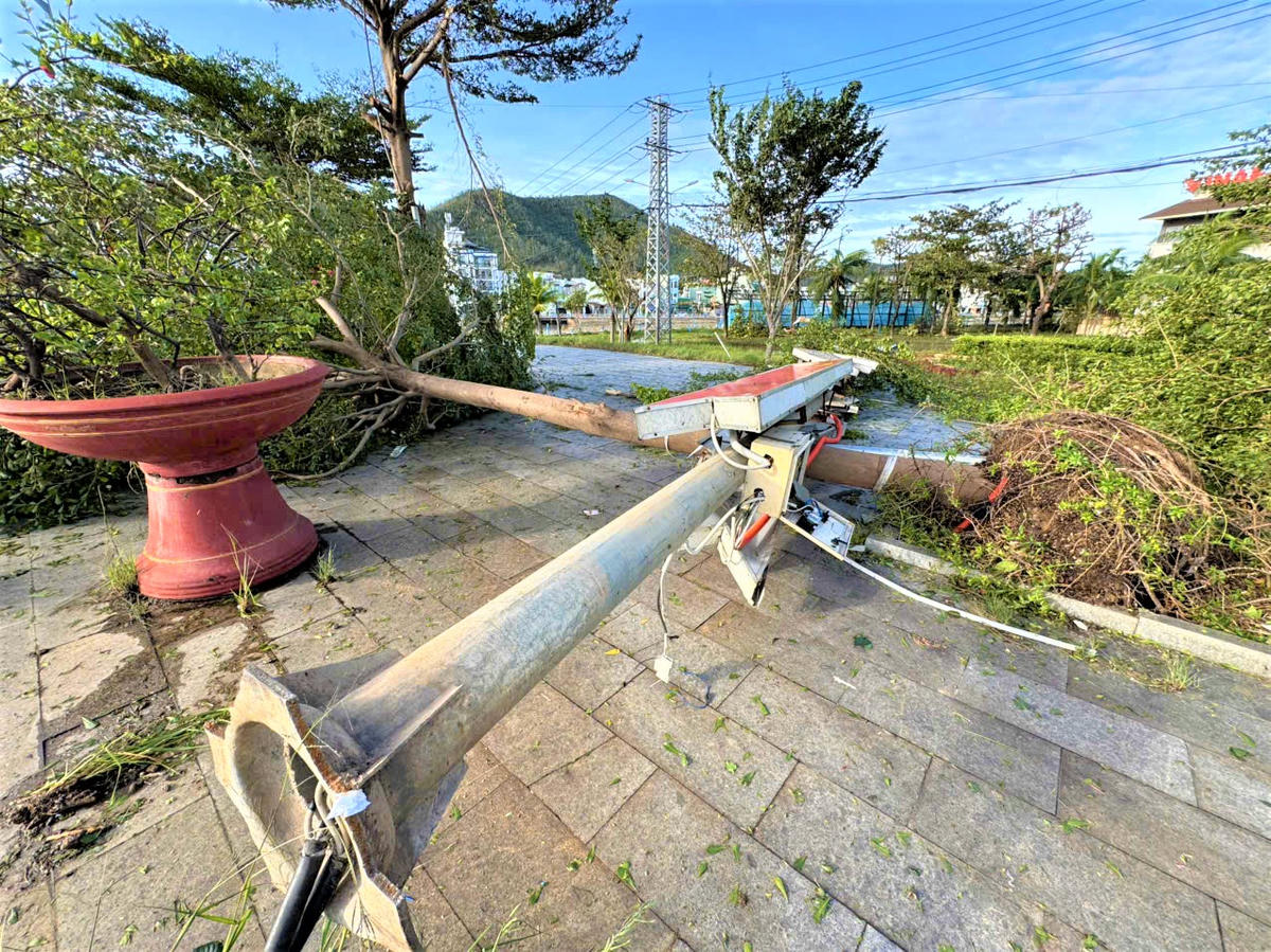 Một số trụ điện trên phường Quy Nhơn gãy đổ. Ảnh: CV.