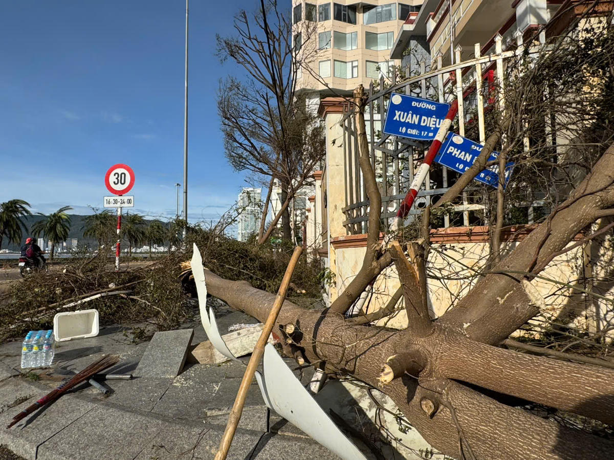 Cây cối ngã đổ trên đường Xuân Diệu. Ảnh: Tấn Thành.