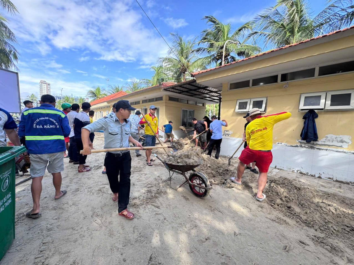 Ban Quản lý bán đảo Sơn Trà và các bãi biển du lịch Đà Nẵng dọn cát. Ảnh: Nguyễn Tú.
