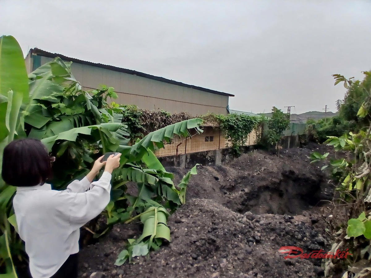 Bà Phan Thị Hải Hường, Bí thư Đảng uỷ phường Hà Tu kiểm tra hiện trường chiều 4/11. Ảnh: PV.