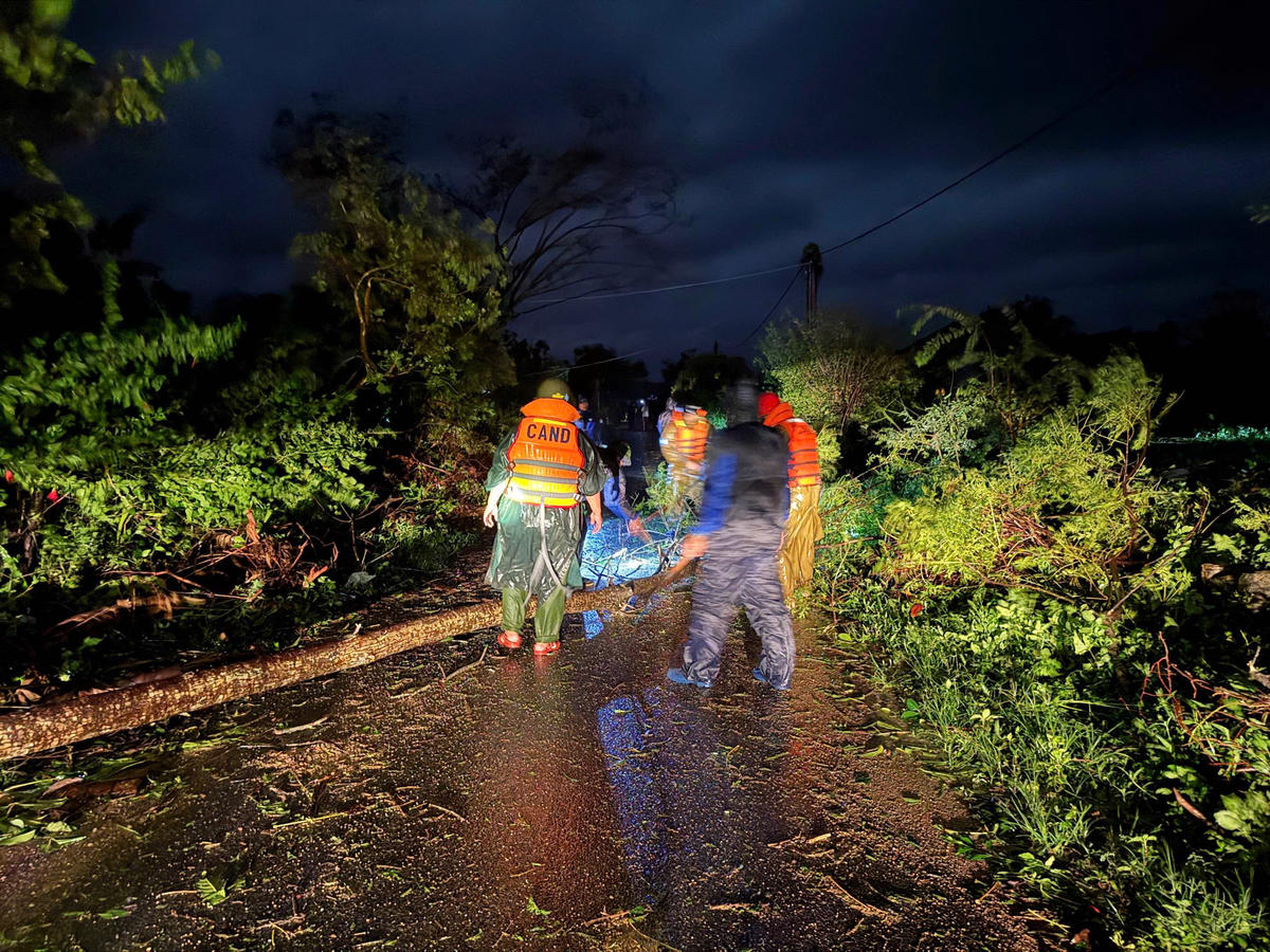 Mưa lớn kéo dài khiến hàng loạt cây xanh bị quật ngã. Ảnh: SĐ.