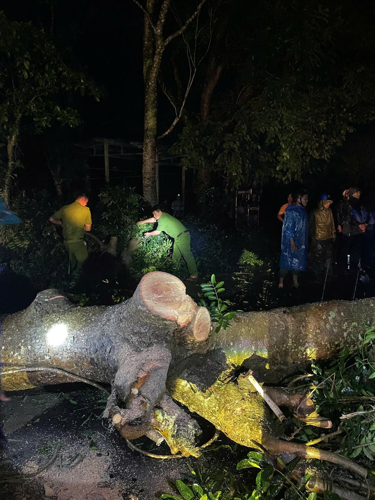 Cán bộ chiến sĩ Công an phát dọn cây ngã đổ. Ảnh: SĐ.