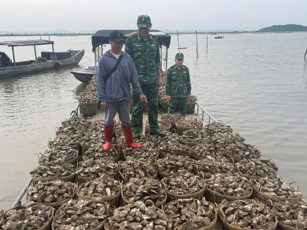 Đồn BP Trà Cổ bắt giữ đối tượng vận chuyển trái phép hàu từ Trung Quốc về Việt Nam. Ảnh: Đồn BP cung cấp.