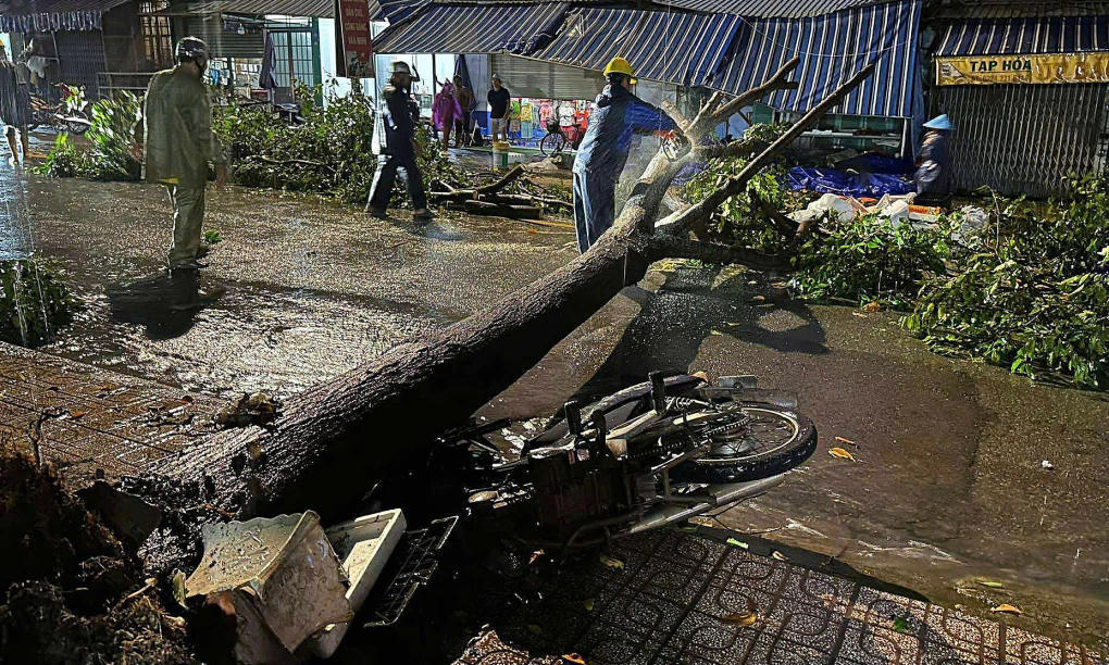 Cây đổ đè xe máy trên đường, lực lượng chức năng cắt cây thành nhánh nhỏ để di dời.  Ảnh: T.H.