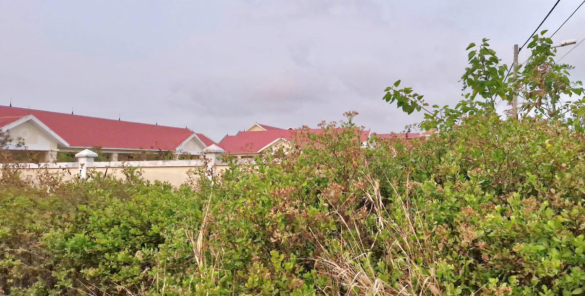 Cây cỏ mọc um tùm xung quanh điểm Trường tiểu học Võ Văn Kiệt bị xuống cấp. Ảnh: Nguyên Du