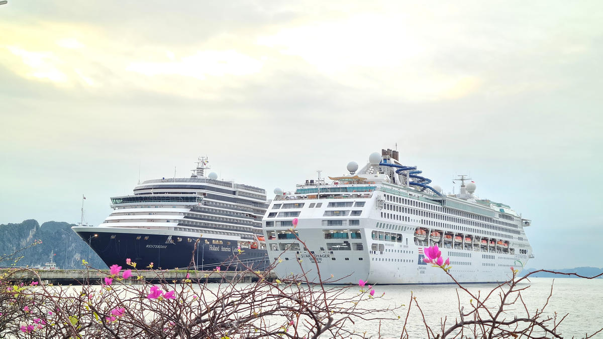2 tàu biển Westerdam và Star Voyager cập bến Cảng tàu khách quốc tế Hạ Long. Ảnh: Ngọc Anh.
