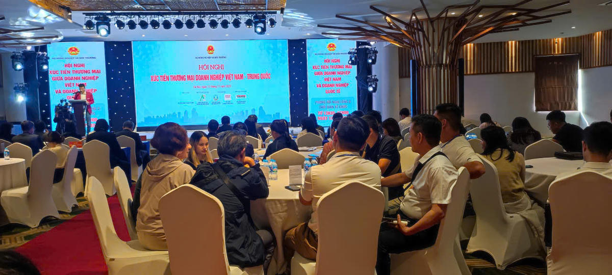 Toàn cảnh diễn đàn. Ảnh: L.H