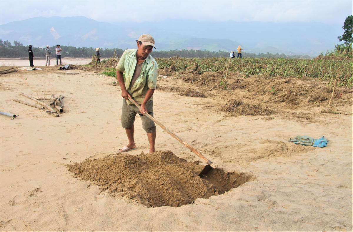 Diện tích đất canh tác hoa màu của người dân xã Hà Nha bồi lấp cát sâu hơn 1m. Ảnh: Nguyễn Tín.