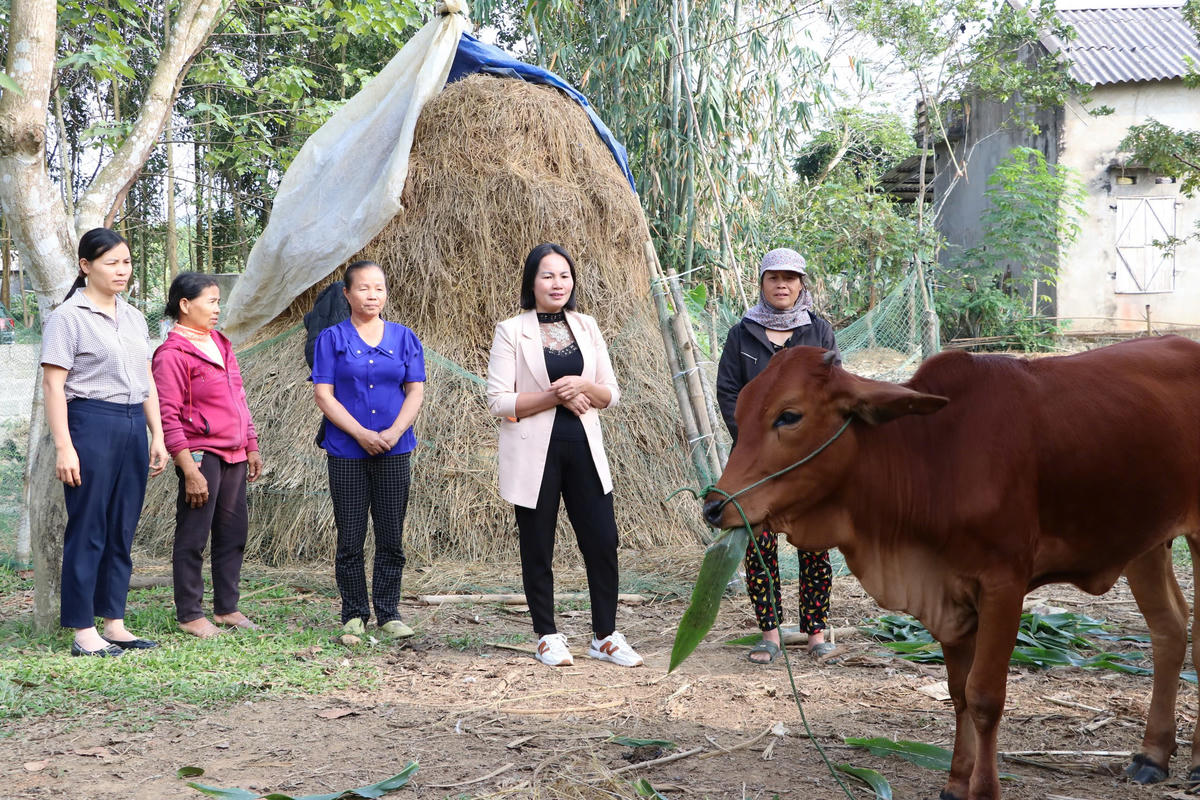  Đại diện chính quyền trao bò giống cho  hộ bà Khuông Thị Loan, dân tộc Tày ở xã Phượng Tiến.